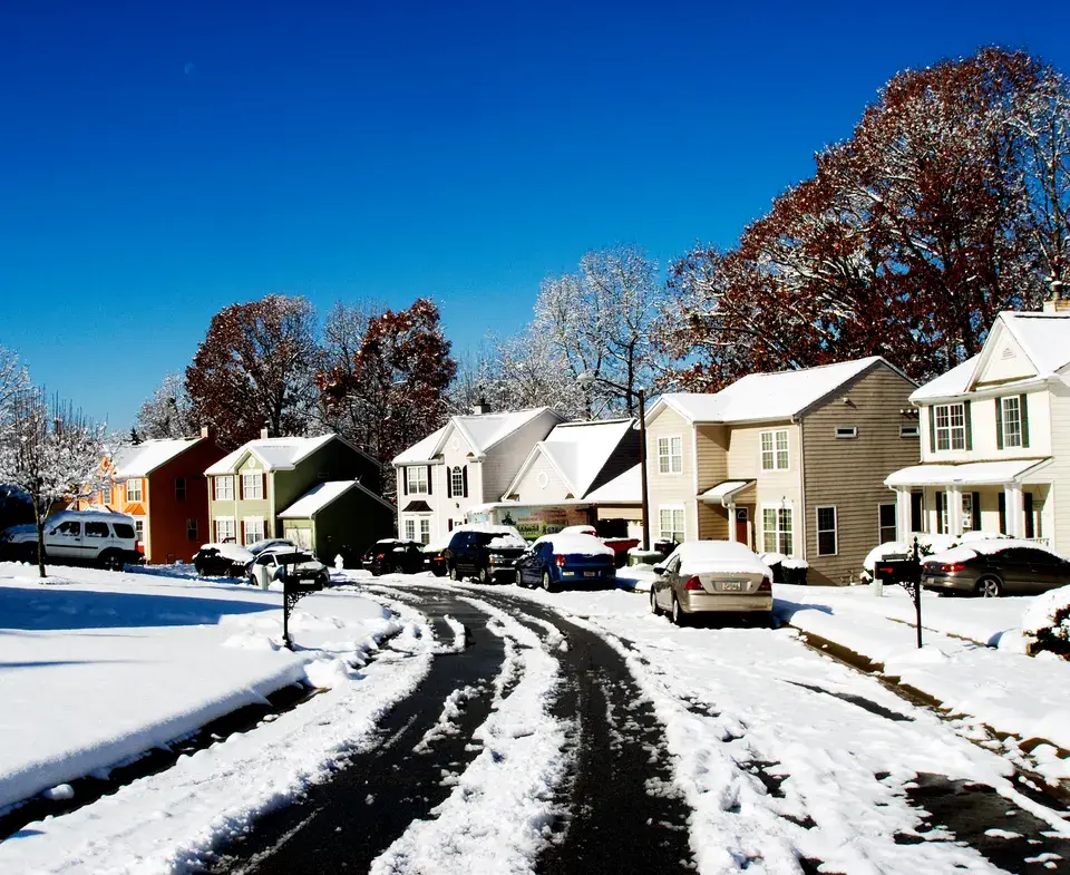 mold removal Morganville