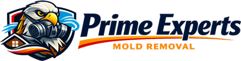 Prime Experts Mold Removal